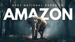 WhatsApp Image 2025-08-06 at 9.10.48 PM (2)